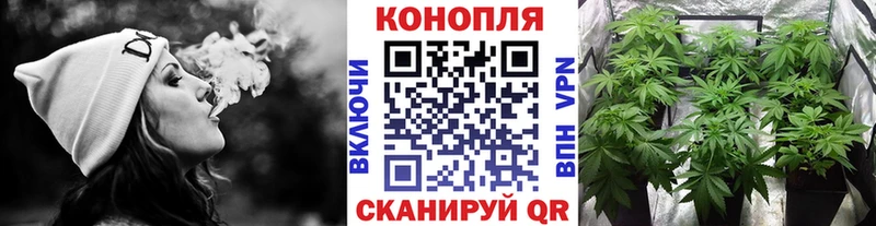 darknet клад  купить наркотик  гидра вход  Воронеж  Бошки марихуана MAZAR 